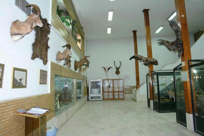موزه یاسوج