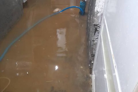 IMG 20240320 WA02301