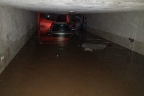 IMG 20240325 WA05671