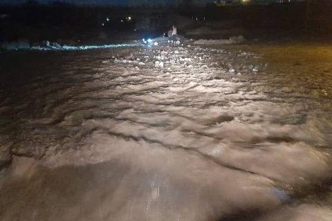 IMG 20240325 WA05751