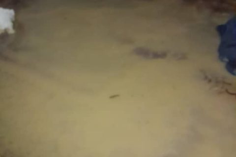 IMG 20240325 WA05861