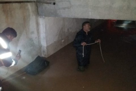 IMG 20240325 WA05911