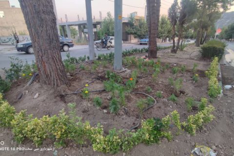 IMG 20240901 WA0538