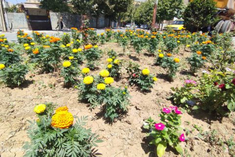 IMG 20240901 WA0549