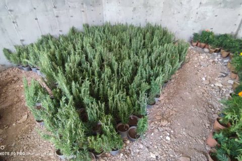 IMG 20240901 WA0550