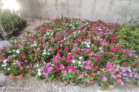 IMG 20240901 WA0559