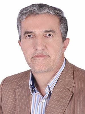 نادر جانی پور - استاندار