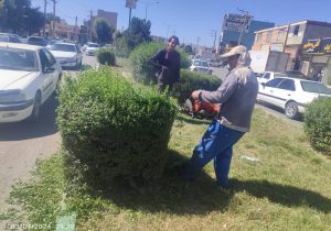 فضای سبز شهرداری یاسوج
