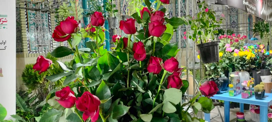 نمایشگاه گل و گیاه یاسوج
