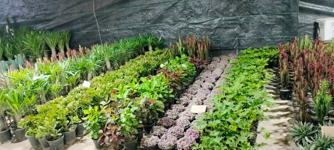 نمایشگاه گل و گیاه