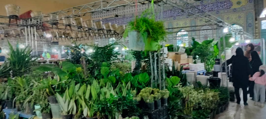 IMG 20241029 WA0454
