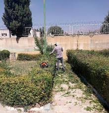 images 1 1