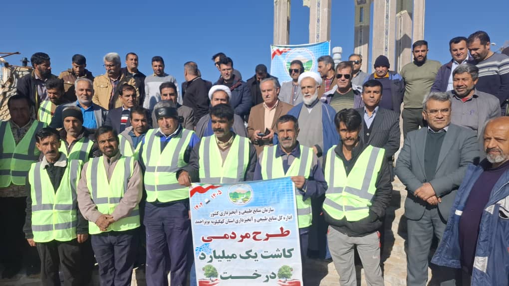 بذرکاری بلوط