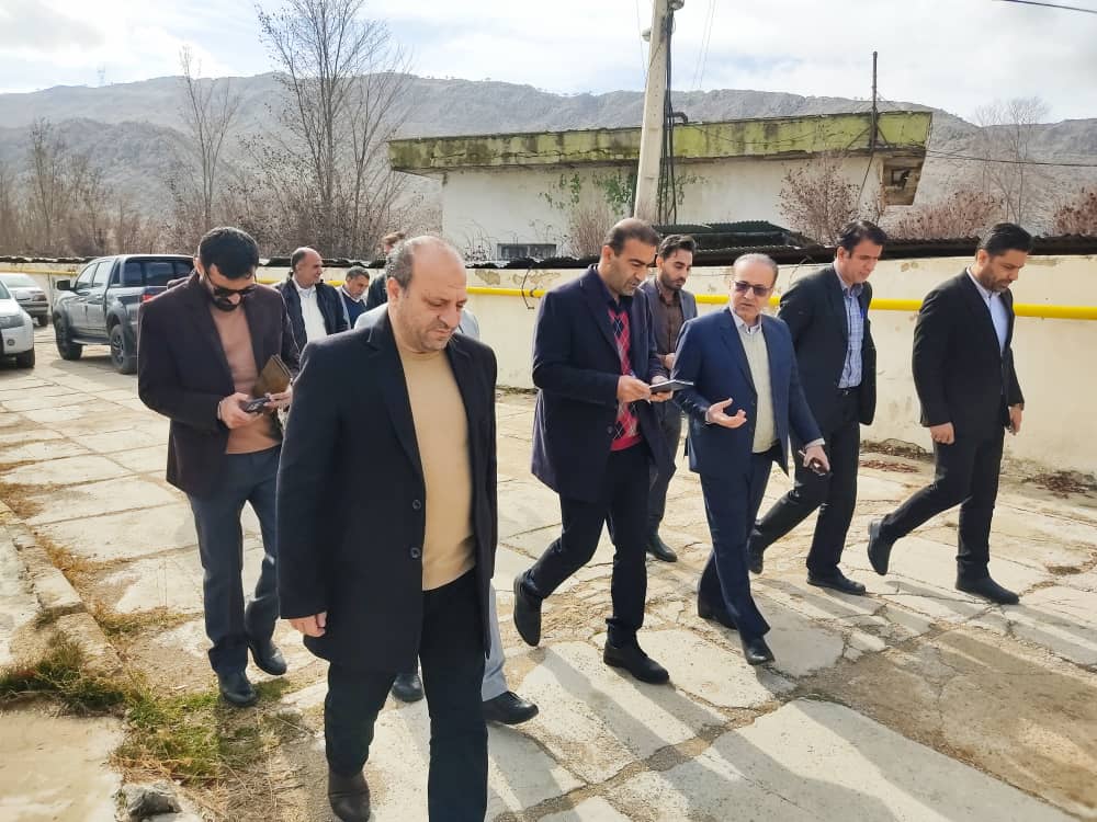 هسته‌ای