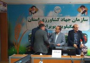 معاون بهبود تولیدات گیاهی سازمان جهاد کشاورزی کهگیلویه و بویراحمد