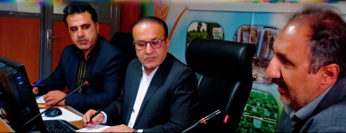 کشت چغندرقند
