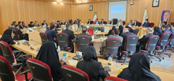 جلسه معاون شرکت‌های دانش بنیان کشور با استاندار