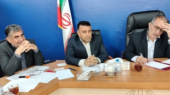 جلسه بررسی پروژه های راهسازی شهرستان های بویراحمد دنا و مارگون