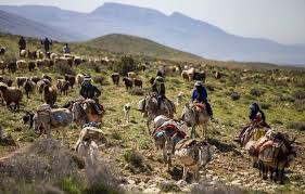 کوچ بهاره عشایر