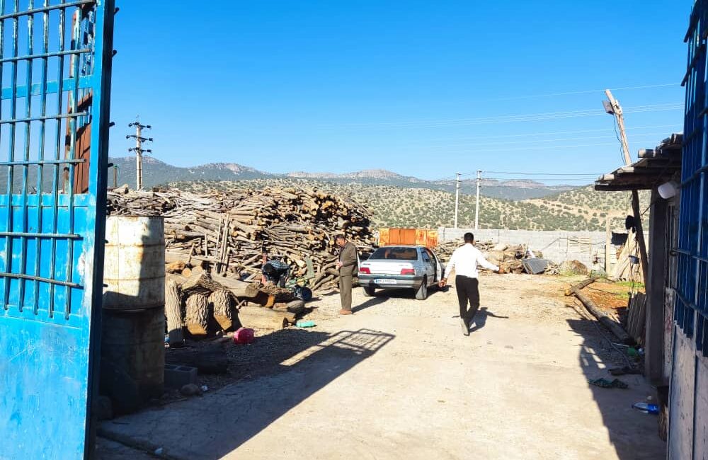 پارک جنگلی یاسوج