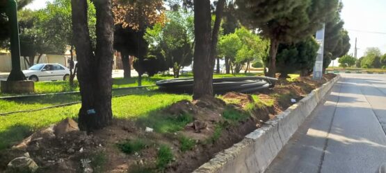 تصویر واتساپ 1404 02 31 در 23.15.11 7d6b4ac1