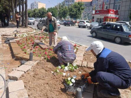تصویر واتساپ 1404 02 31 در 23.16.00 94a9aa2b