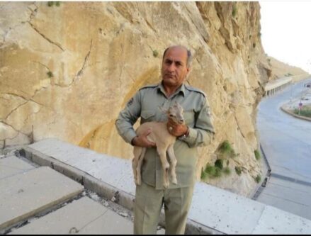  قتل محیط بان کهگیلویه ای در کوه خائیز