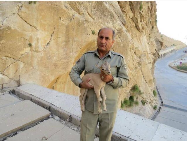 منطقه حفاظت شده خائیز