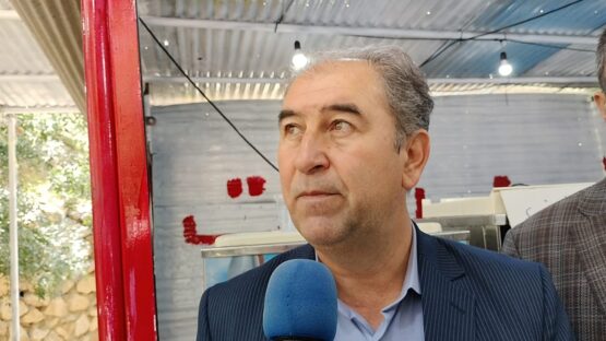سید امیرتیمور موسویان 