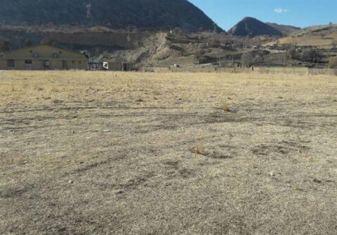 خشک شدن چمن ورزشی پاتاوه